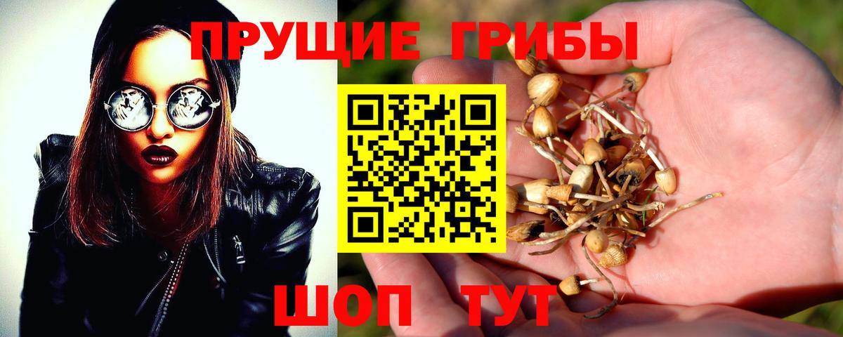 Трёхгорный  Галлюциногенные грибы прущие грибы  Вход с VPN 